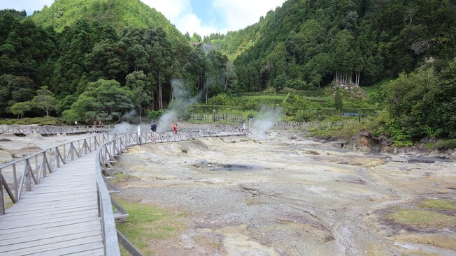 A wooden walkway leads over hot springs and steaming fumaroles to a lush forest at Pico de Ferro, Portugal