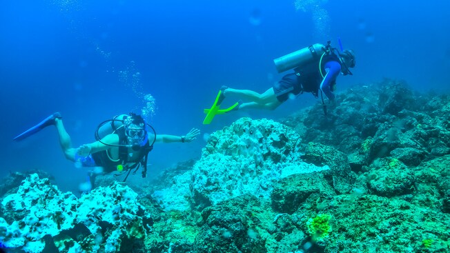 Dos buzos examinan los arrecifes de coral en el fondo del océano