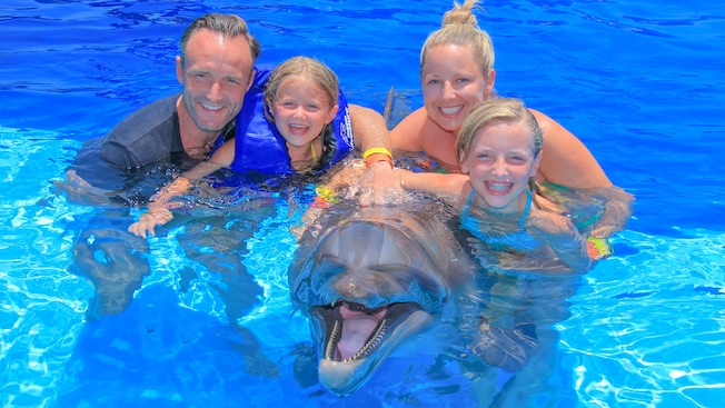 A young family of 4 smiles while posing in the water with a dolphin A young family of 4 smiles while posing in the water with a dolphin
