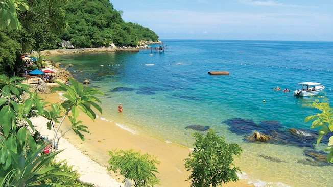Vista de uma pequena praia em uma encosta arborizada, com algumas pessoas e um barco de pesca na água