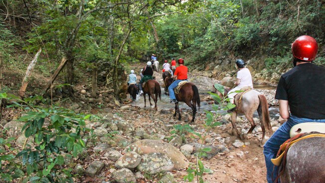Un grupo de jinetes atravesando un frondoso bosque tropical con un arroyo