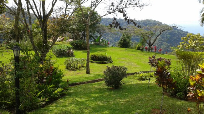A garden containing flowers, plants and trees that overlooks a lush mountainside