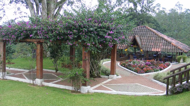 A gazebo with a seating area and a brick pathway next to a lush forest