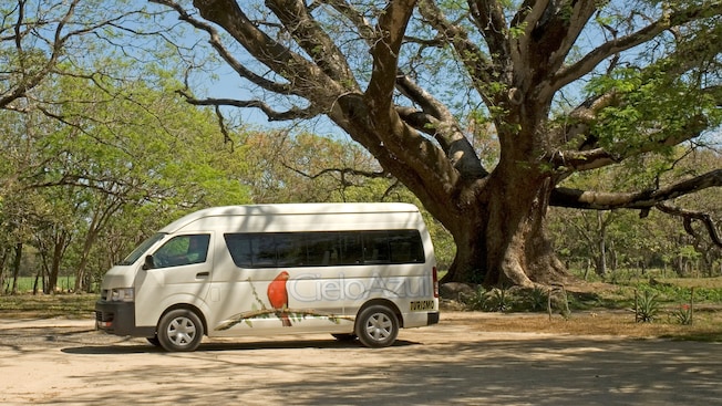 A van with a sign that reads Cielo Azul near a tree A van with a sign that reads Cielo Azul near a tree
