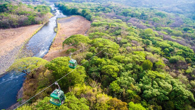 2 gondolas over a river and a forest