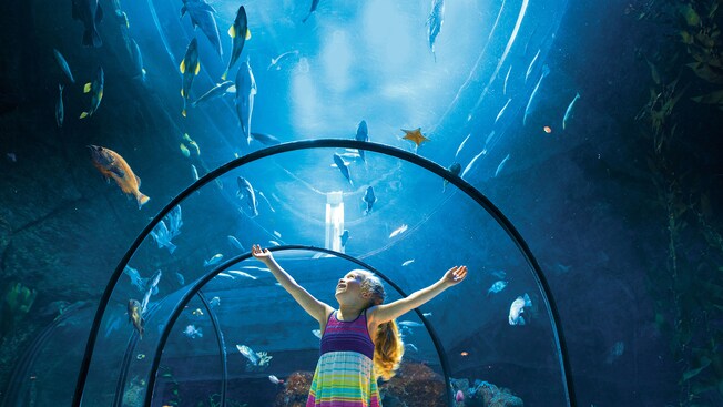 Una niña en el túnel de un acuario