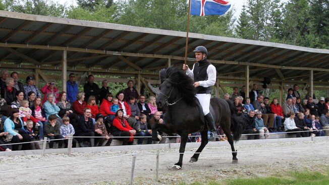 Caballos vikingos e invernaderos volcánicos