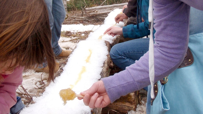 A group of visitors spreading maple syrup on to an outdoor ice bed