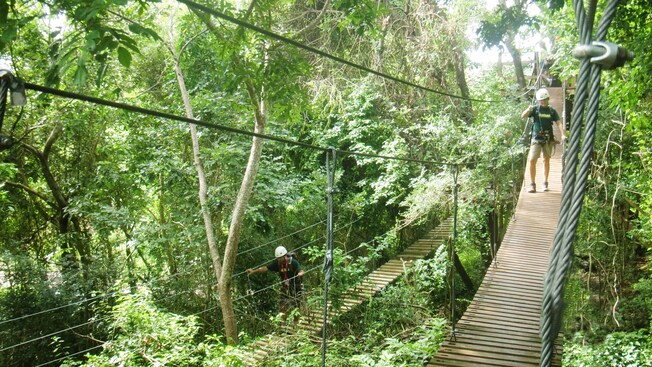 Campo Rico Ziplining and Kayaking Adventure | Disney Cruise Line