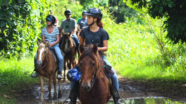 Personas con cascos montando a caballo en un área con abundante vegetación