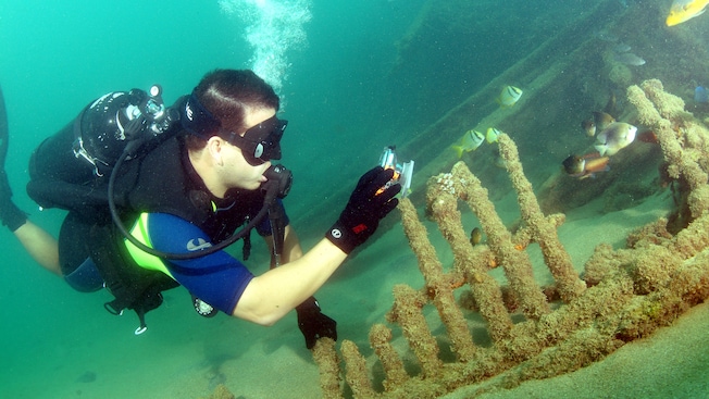 A scuba diver points a camera towards a group of fish near some undersea wreckage A scuba diver points a camera towards a group of fish near some undersea wreckage