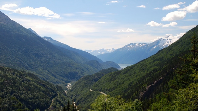 A verdant valley with snow capped mountains in the background