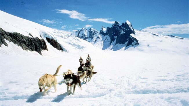 Two mushers stand at the rear of a sled while a rider enjoys a dogsledding adventure through the snow