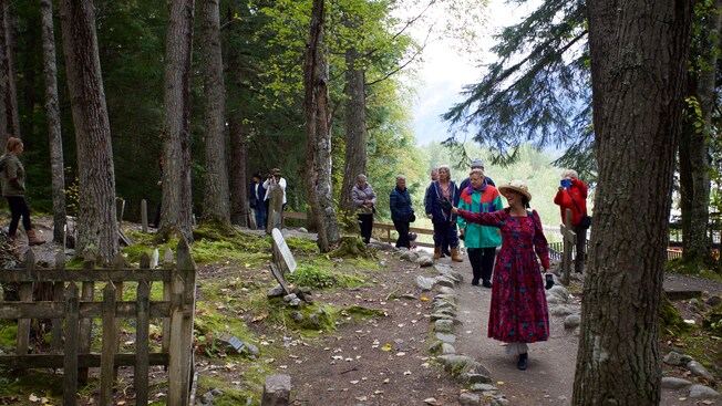 Un guía turístico disfrazado lidera a un grupo en un camino de tierra a través de un bosque