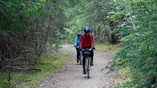 Two bicyclists in riding gear cycle through the woods on a dirt path Two bicyclists in riding gear cycle through the woods on a dirt path