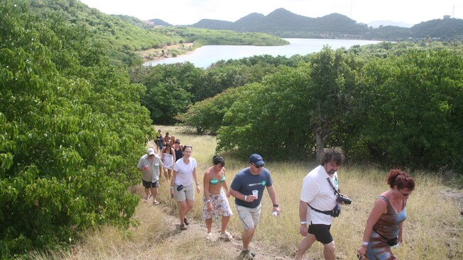 A group of adults in lightweight clothes walk up a winding trail through brush and trees overlooking a bay