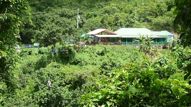 A building sits just above the tree line with a zipline extending from a nearby tree towards the camera A building sits just above the tree line with a zipline extending from a nearby tree towards the camera