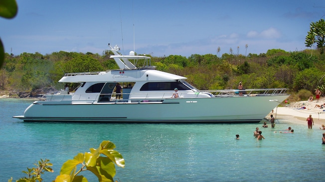 Um catamarã de luxo fica ancorado em uma praia enquanto os passageiros descansam a bordo e nadam na água Um catamarã de luxo fica ancorado em uma praia enquanto os passageiros descansam a bordo e nadam na água