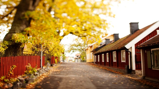 A residential streets lined with a fence, houses and trees