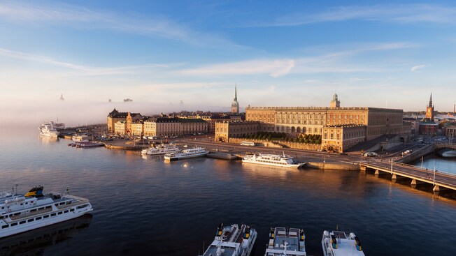 A marina full of boats near a palace