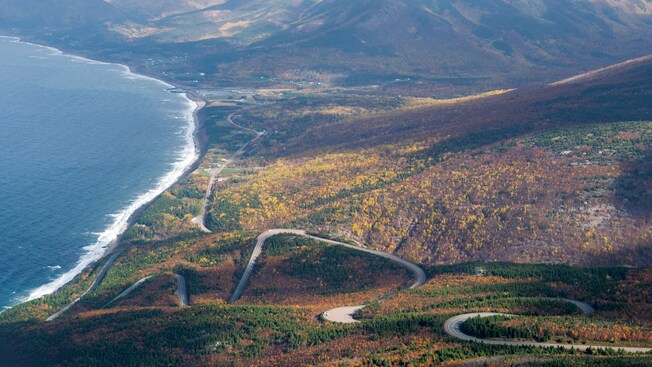 A long street winding through a hillside full of trees overlooking a large body of water