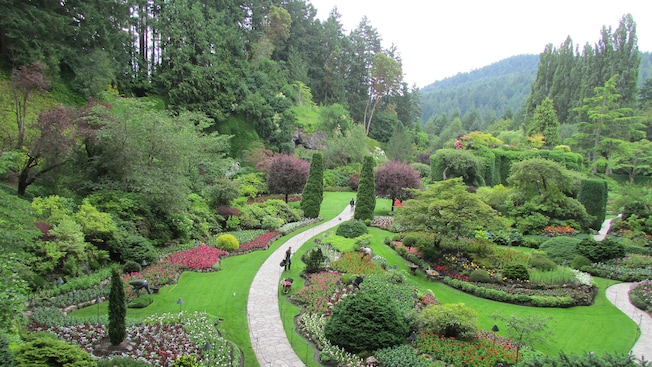 Walking paths winding through a Japanese garden