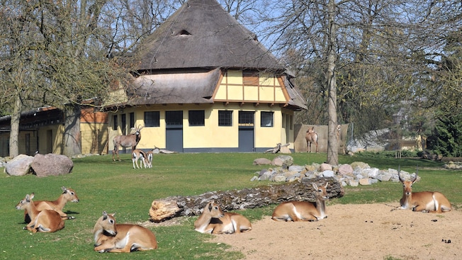 Be a Zookeeper at The Rostock Zoological Garden Be a Zookeeper at The Rostock Zoological Garden