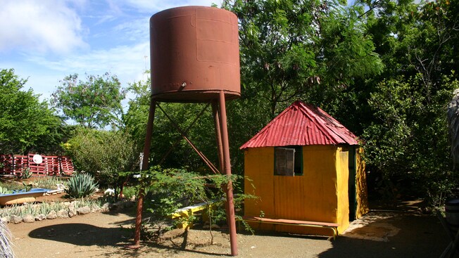 Vegetación que rodea un pequeño tanque de agua y una choza hecha de láminas de metal corrugado