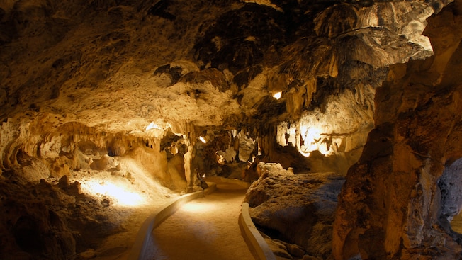 An underground cavern features dramatic spotlighting along a dirt path An underground cavern features dramatic spotlighting along a dirt path