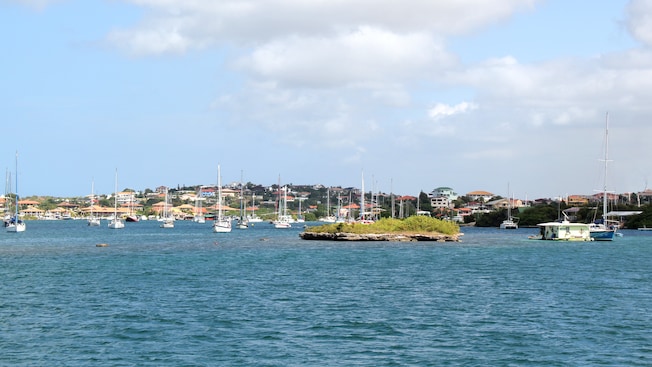 Sailboats are scattered on the water surrounding a tiny island close to a shoreline dotted with houses Sailboats are scattered on the water surrounding a tiny island close to a shoreline dotted with houses