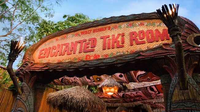 Figura de Audio-Animatronics de un loro que canta llamado Pierre en Walt Disney's Enchanted Tiki Room