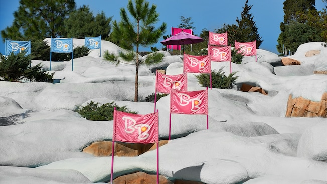 Slalom gates pepper the side of a snowy slope at Snow Stormers attraction