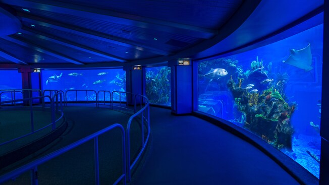 A section of a concave glass inside a circular sea life viewing area at SeaBase 