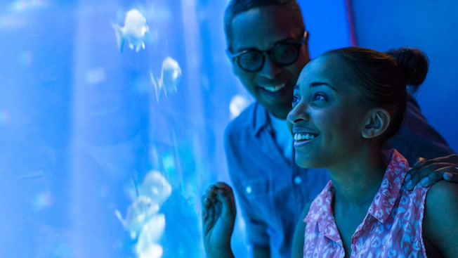 A man watches his wife enjoy looking at fish inside an aquarium at SeaBase