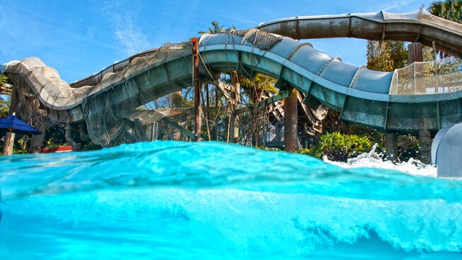 Crush 'n' Gusher waterslide attraction in Disney's Typhoon Lagoon water park
