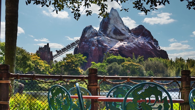 View of Expedition Everest roller coaster ride climbing Mount Everest