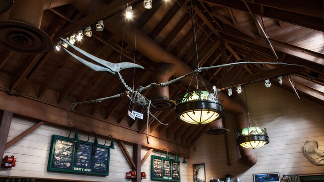 Fósseis de pterodátilos pendurados no teto ao lado das luzes de dinossauros