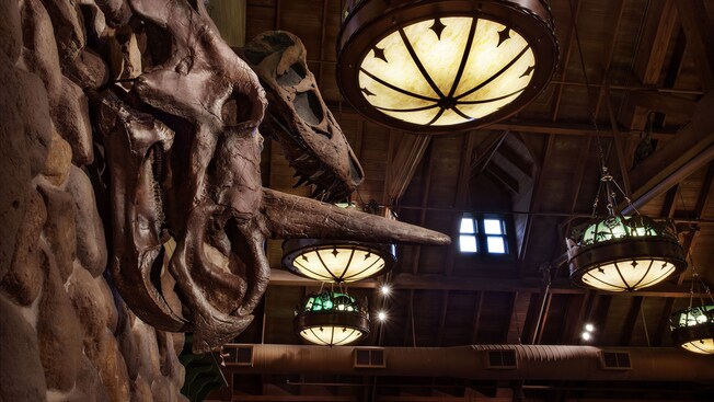 Crânio de dinossauro com chifre na parede ao lado das lâmpadas penduradas