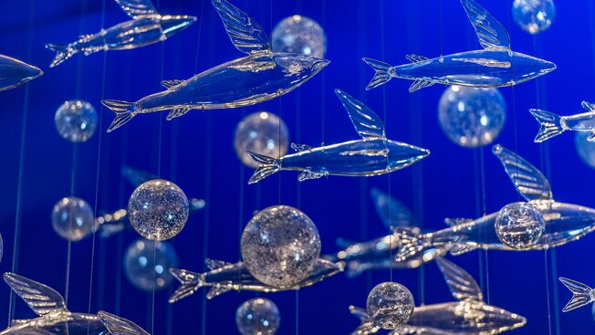 A sea of clear flying fish ornaments and glitter spheres hang from invisible cords