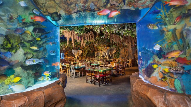 Abertura do corredor do aquário no piso de refeições principal no Rainforest Cafe