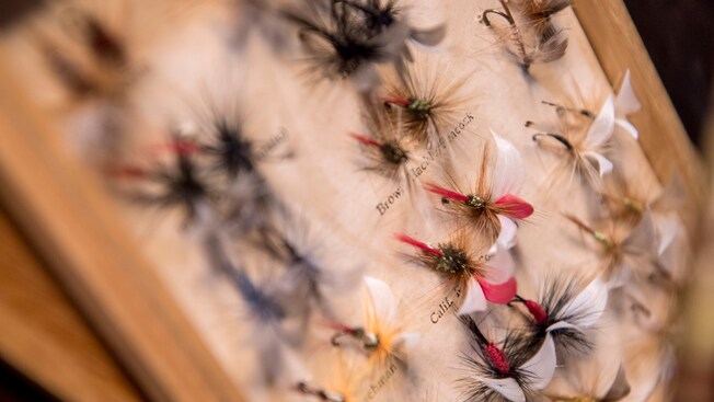 An assortment of fishing flies