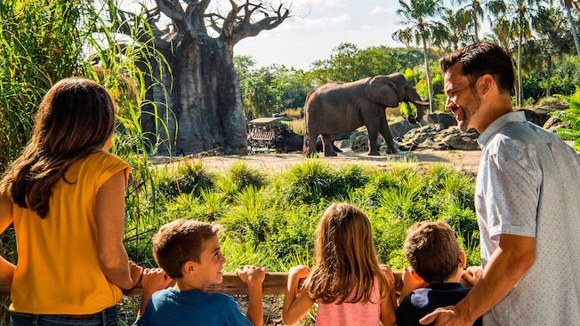 A mom, dad and their 3 kids watching an elephant on the savanna at Disney’s Animal Kingdom park
