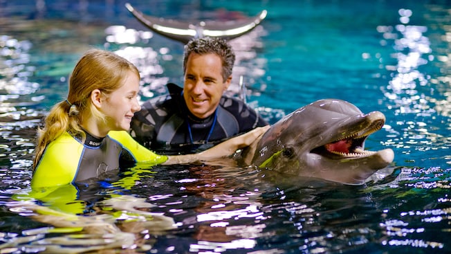 Man and girl in wetsuits petting a bottlenose dolphin in a pool
