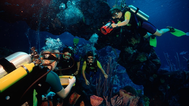 Guests clad in SCUBA diving equipment swim beneath a rock arch in a tropical underwater environment