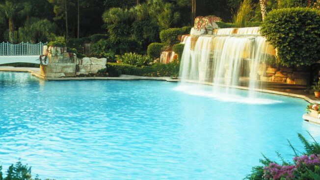 Light-blue pool with a waterfall framed by lush foliage at the Walt Disney World Swan Hotel