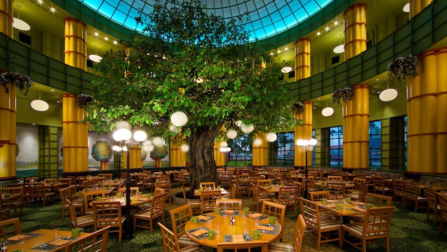A 25-foot tall tree standing in the center of a dining room, surrounded by lights, tables and chairs