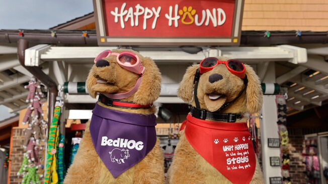 Fuera de Happy Hound, dos perros de peluche lucen accesorios como anteojos de sol, collares y pañoletas