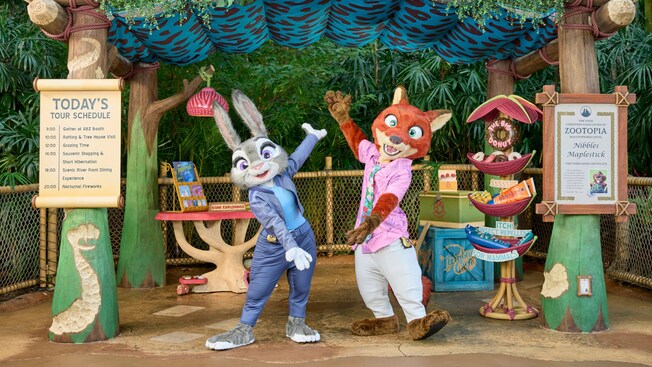 20251124_HKDL6526-16x9.jpg?