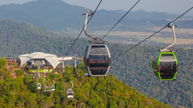 Cable cars traveling above a lush rainforest canopy toward a mountain station Cable cars traveling above a lush rainforest canopy toward a mountain station