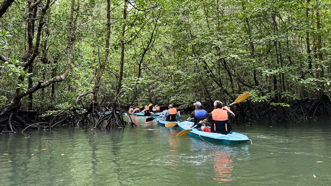 Guests paddle kayaks through a winding mangrove waterway during the Kilim Kayak Adventure Guests paddle kayaks through a winding mangrove waterway during the Kilim Kayak Adventure